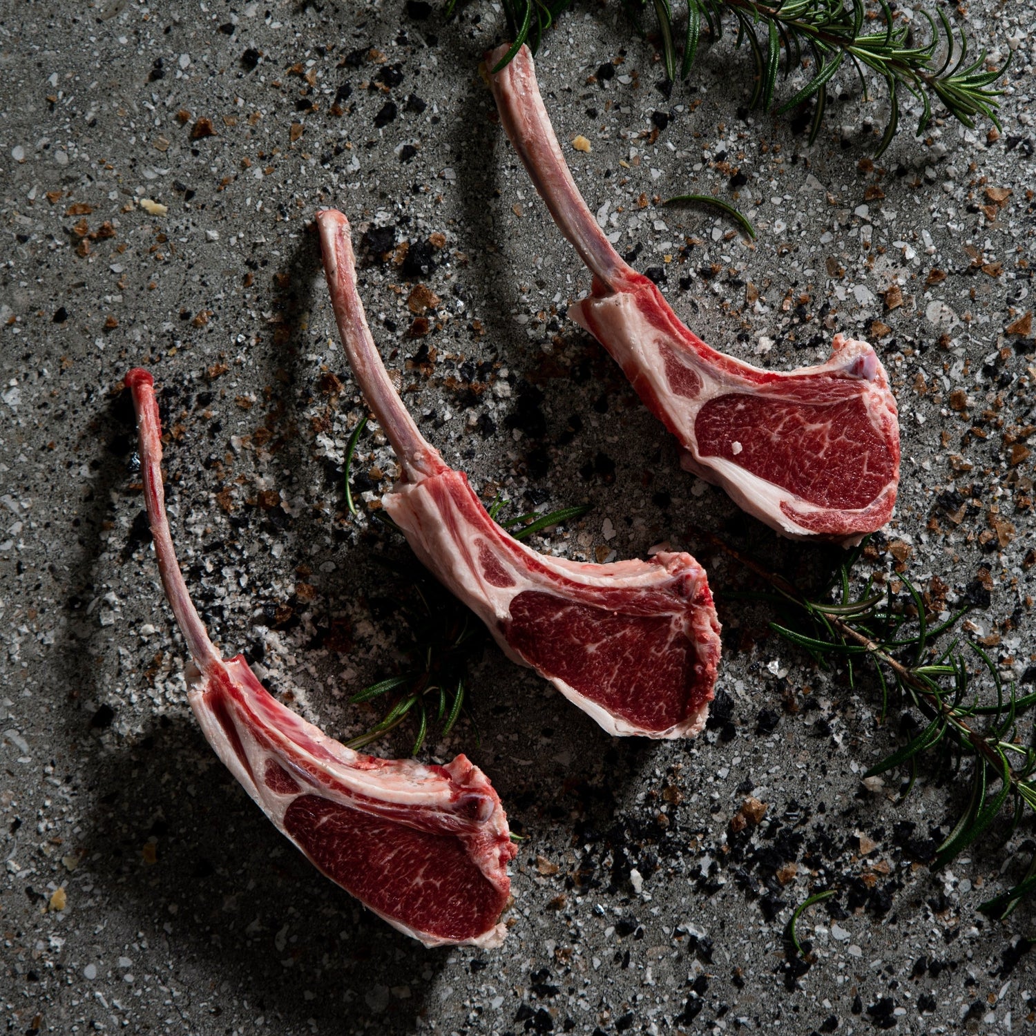 Lamb